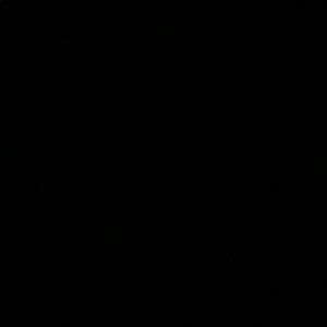 Meet your Posher, Summer